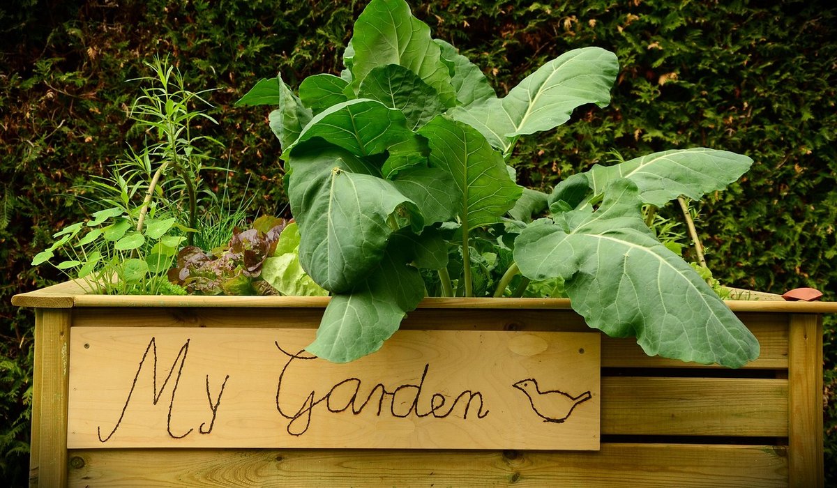 Understanding soil pH for better plant health